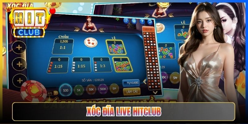 Xóc Đĩa Live Hitclub – Sảnh Lắc Đĩa Dealer Thật Camera Đa Góc 2026